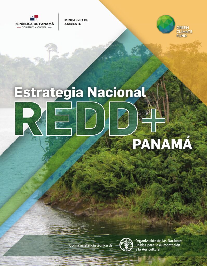 Redd Panamá cumple con los cuatro pilares del Marco de Varsovia para acceder ...